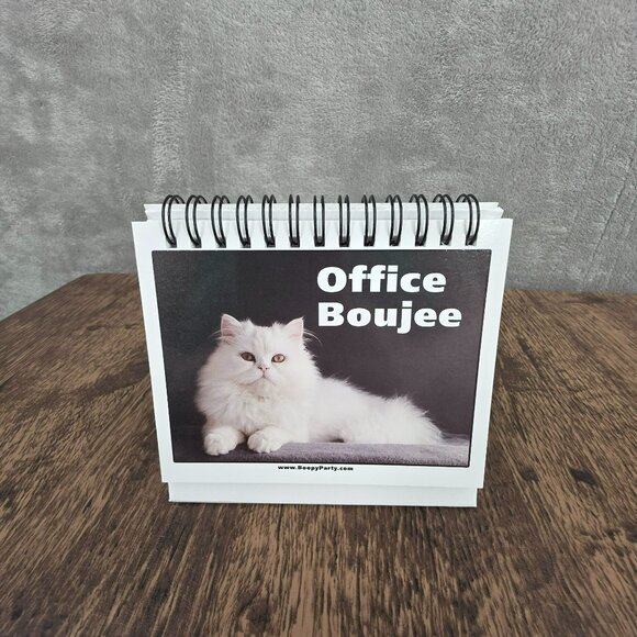 Boopy Party Cat Memes Funny Desk Office Signs Flip Kitty Novelty Humor Gift Joke - Picture 7 of 8